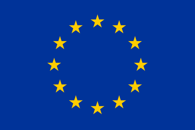 European Union Project Management