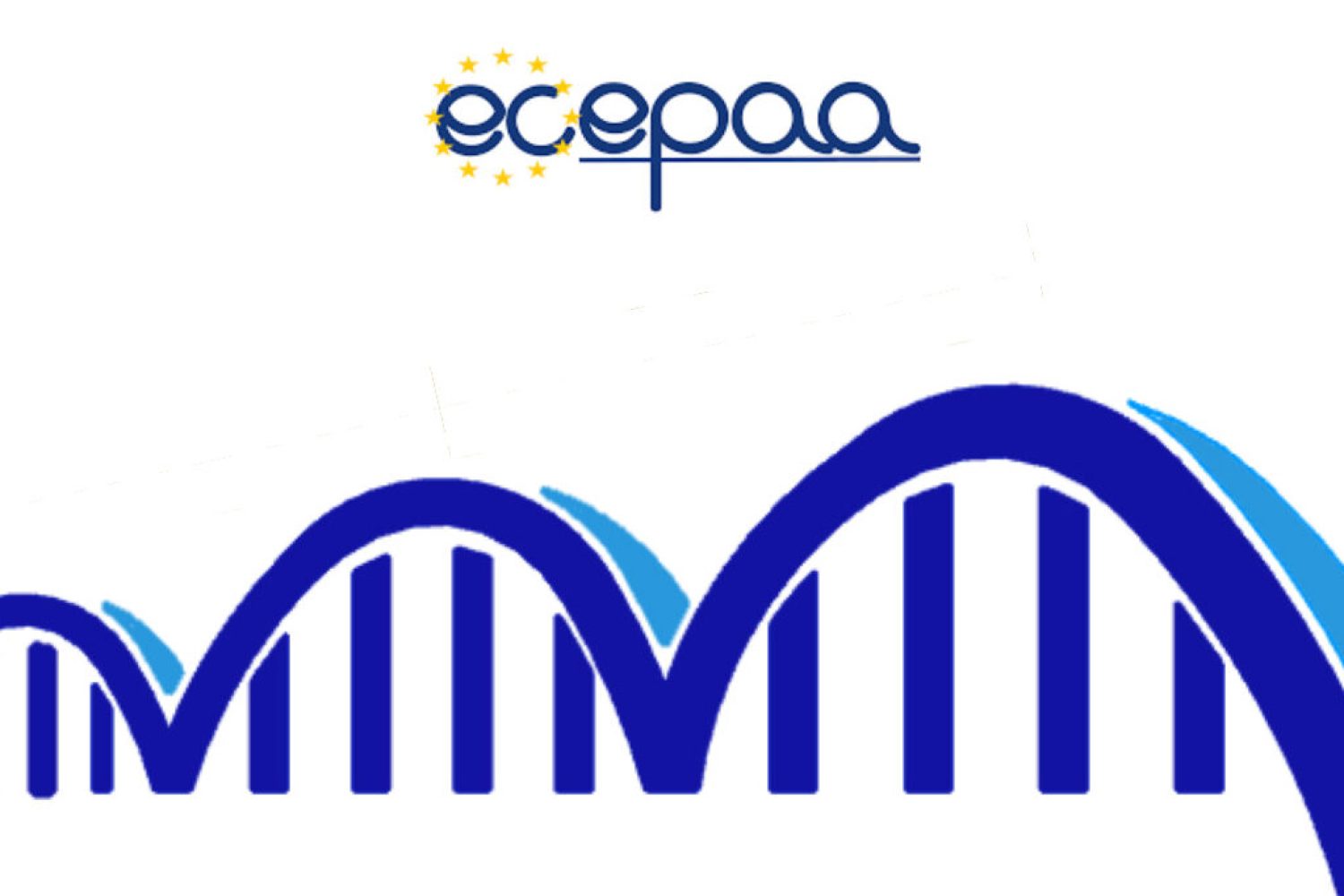 Language-as-a-bridge-1