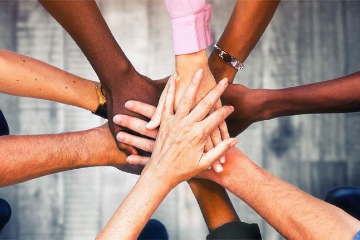 equality-action-plan-2